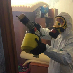 Уничтожение клопов в квартире. Шипиловская